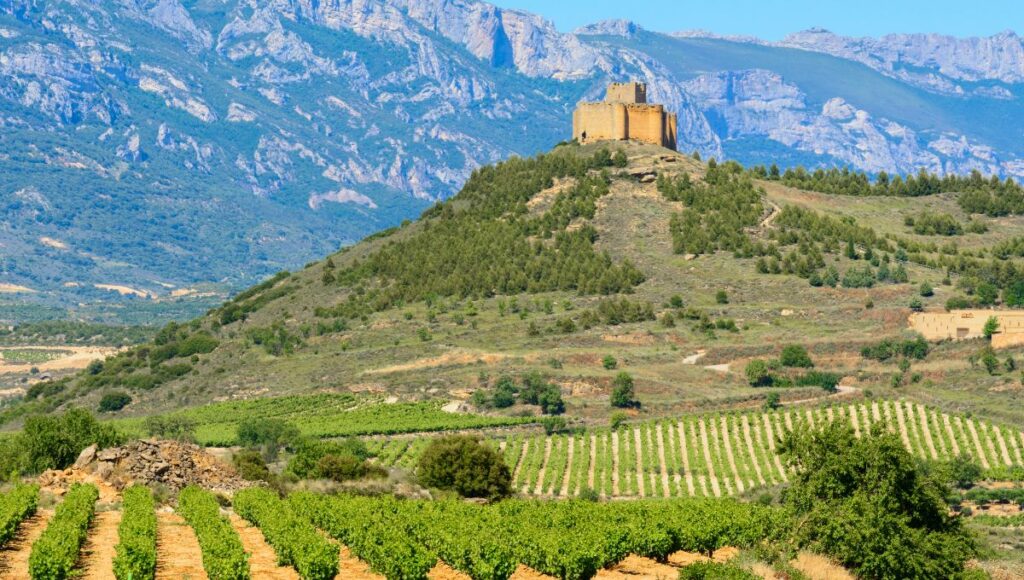A small castle on top of a hill  surrounded by vines in the autonomous community of La Rioja 