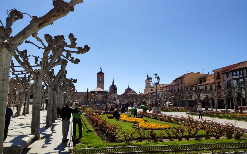 A plaza in Alcala de Henares in ealy spring with leafless trees